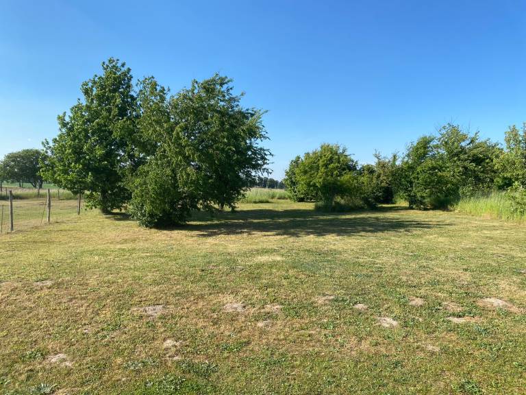 foto15
