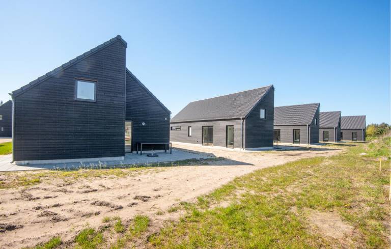 Ferienhaus mit Hund inKongsmark  f&uuml;r max. 4 Personen