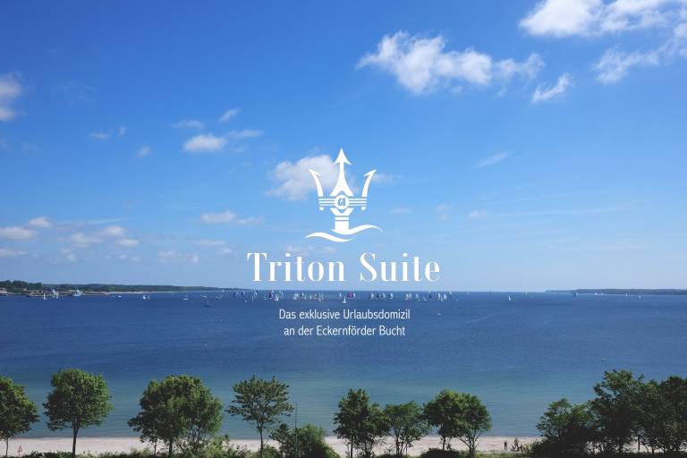 Triton Suite