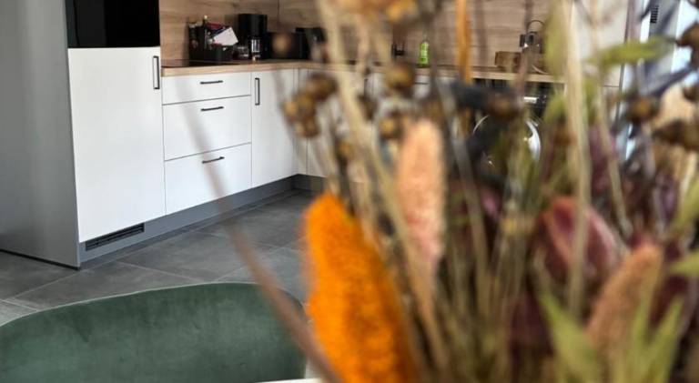 Holiday apartment | Pet-friendly in Bernkastel-Kues
