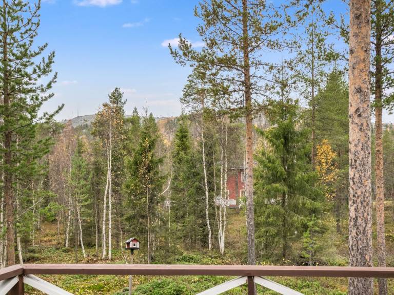 Vacation home with terrace & sauna — photo 3