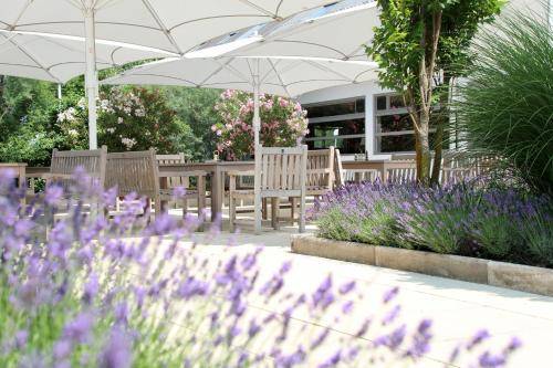 Ferienhaus Purbach am Neusiedler See