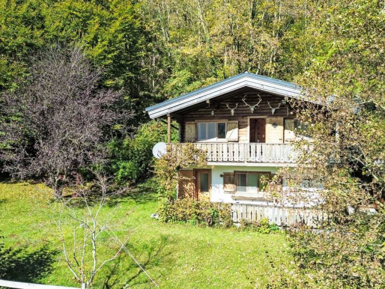 foto1