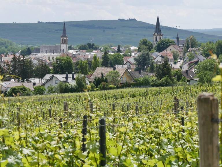 Ferienwohnung Gensingen