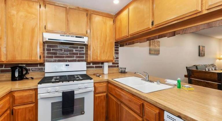 House | Ski nearby | Pets are welcome — photo 2