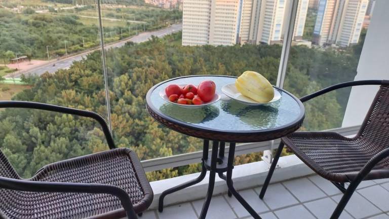 Apartment | Pet-friendly — photo 3