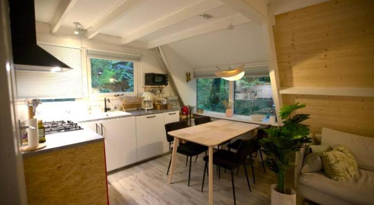 Chalet with pool | Pets are welcome — photo 3
