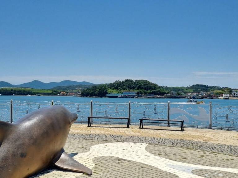 foto31
