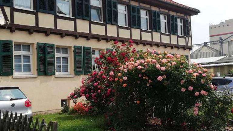 Ferienwohnung Bad Langensalza