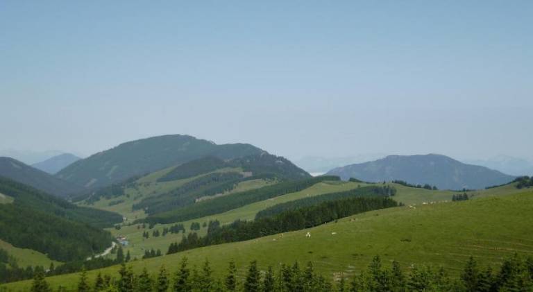 foto18