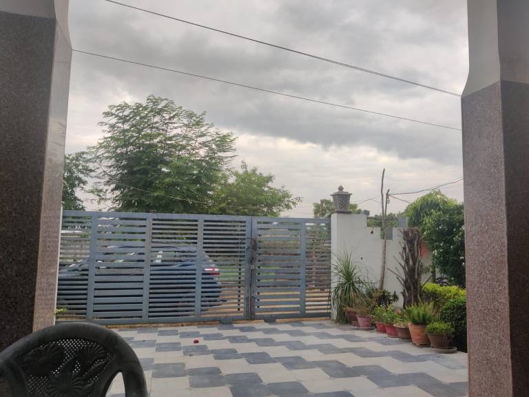 Green Meadows Homestay — photo 3