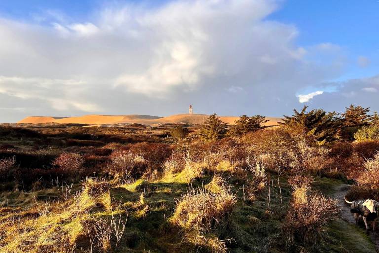 Fully equipped vacation home with terrace, BBQ & hot tub | Pet-friendly — photo 3