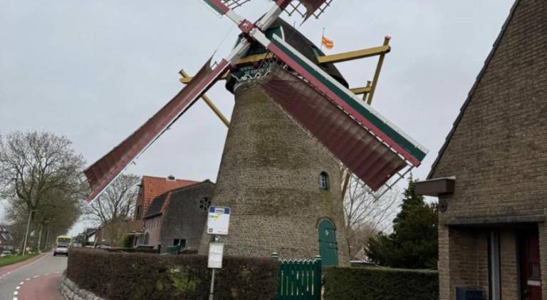 foto15