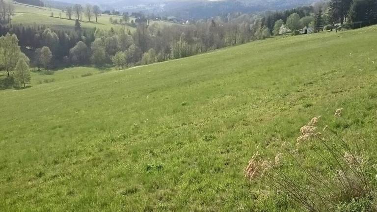 foto17