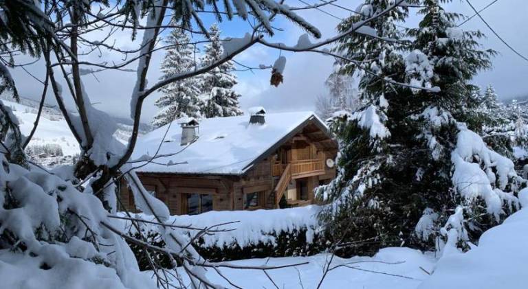 Chalet familial Fleurs des Bois - Rochebrune in Combloux