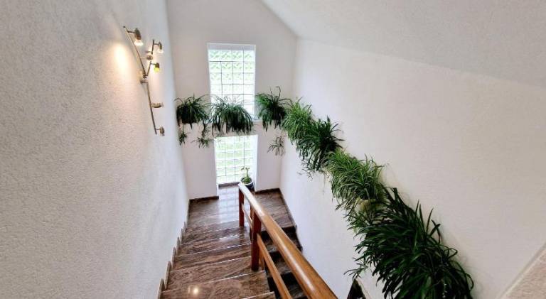 House Ana — photo 5