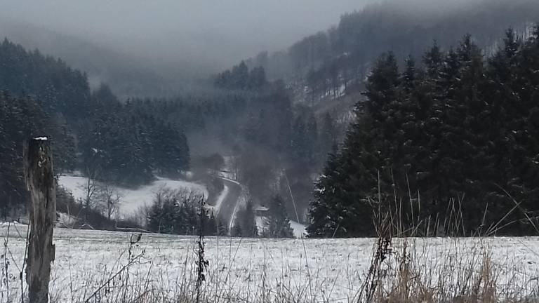 foto40