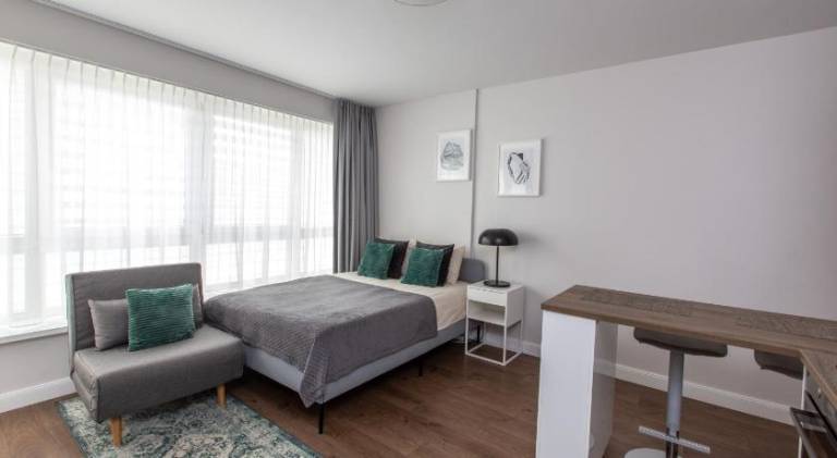 Beautiful rental apartment | Dogs allowed in Druskininkai