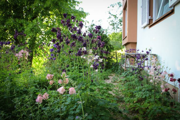Ferienwohnung mit Hund in Wernleiten, für max. 4 Personen Ferienwohnung mit Hund in Wernleiten, für max. 4 Personen
