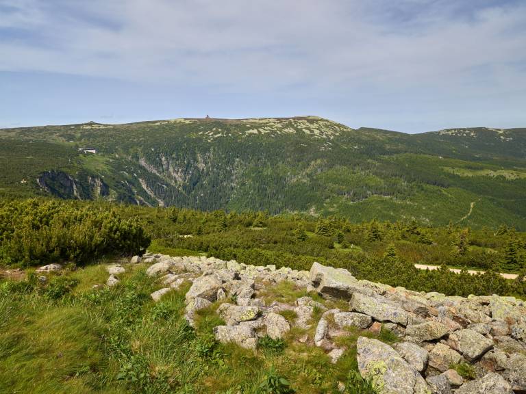 foto44