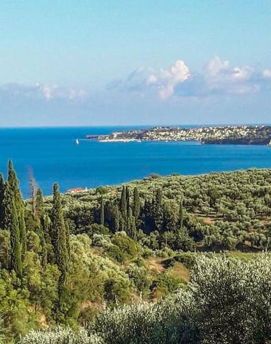 σπίτι Agios Andreas