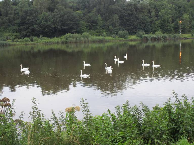 foto15