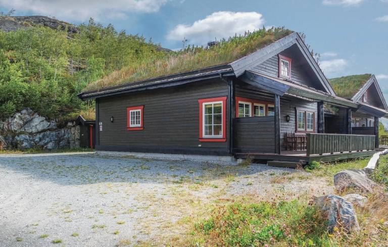 Feriehus  Hemsedal