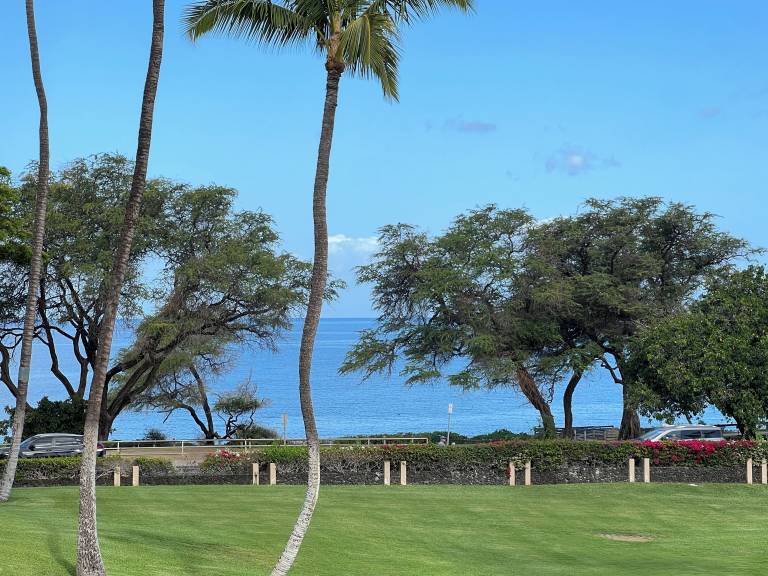 Condo Wailea