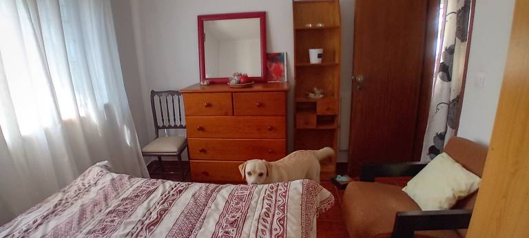 foto8