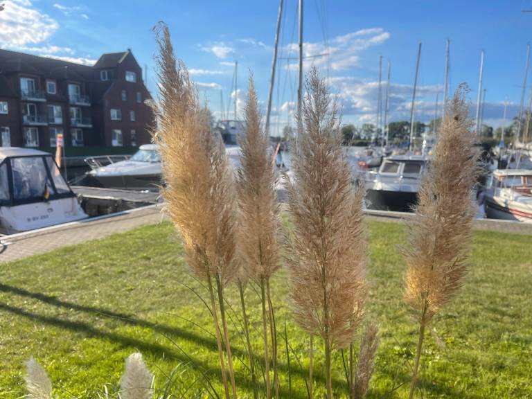 foto19