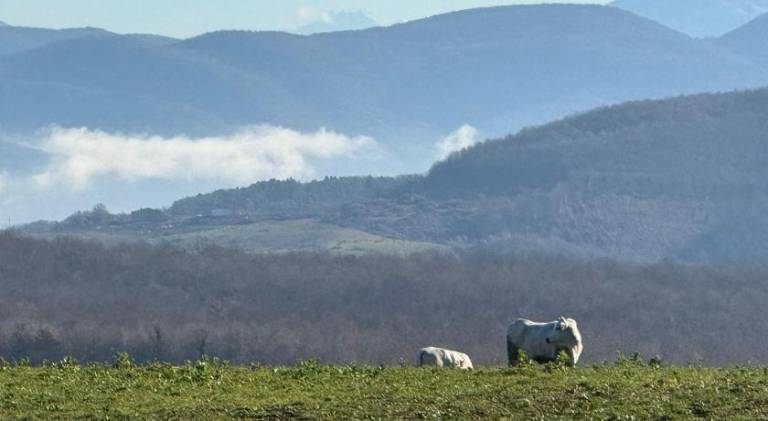 foto16