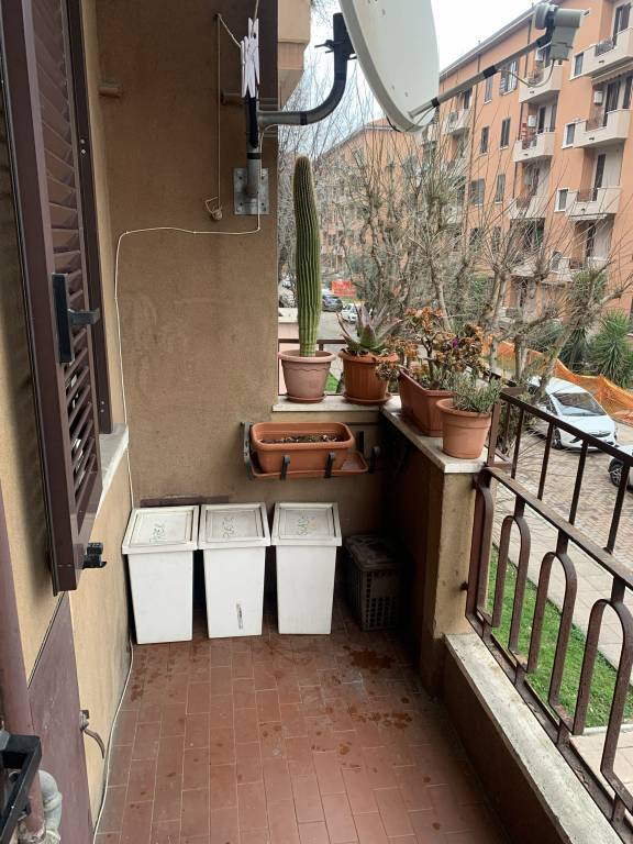 foto7