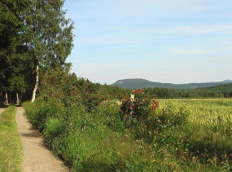 foto13