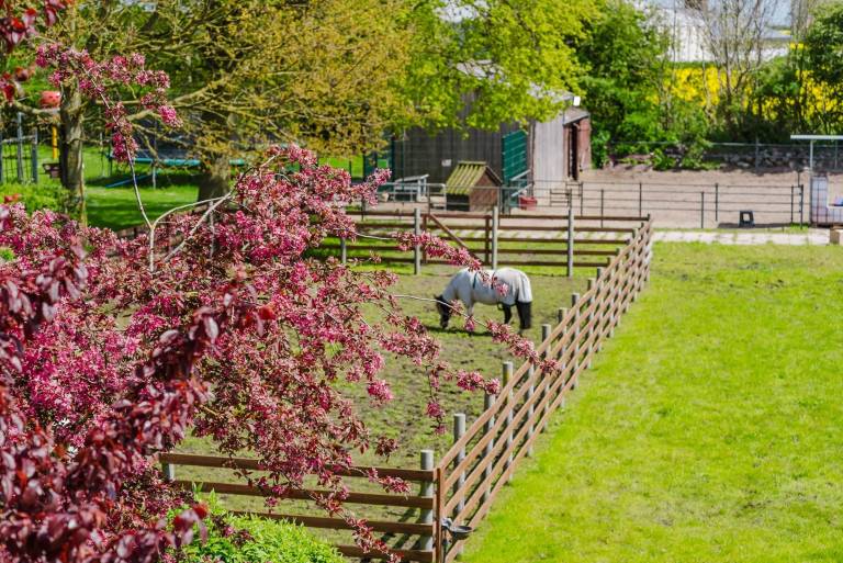 Ferienwohnung  Marienleuchte