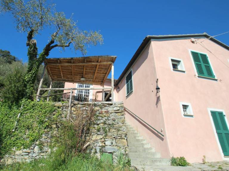 foto20