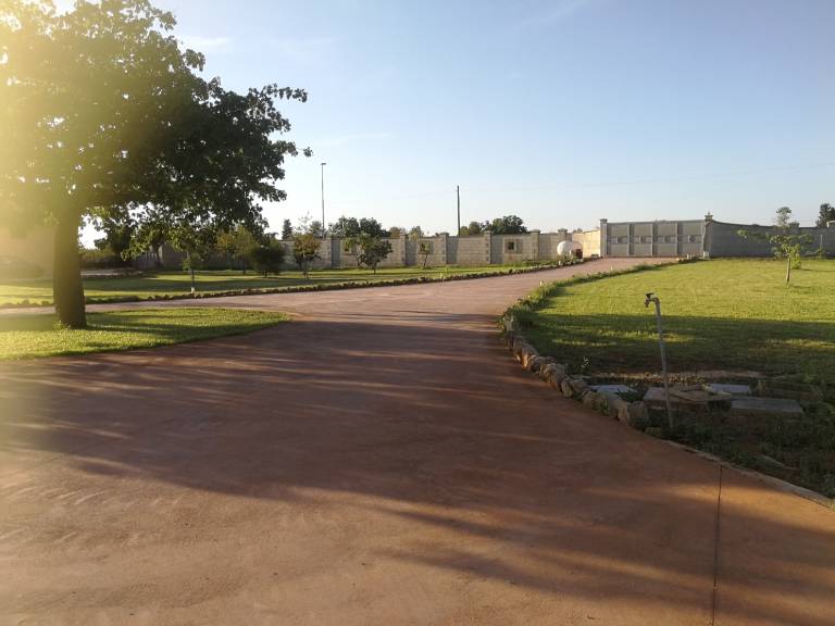 foto33