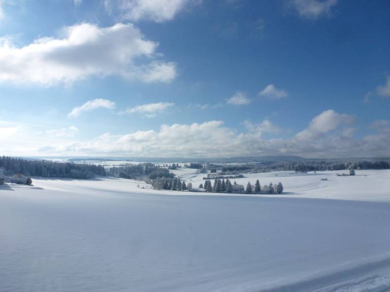 foto41