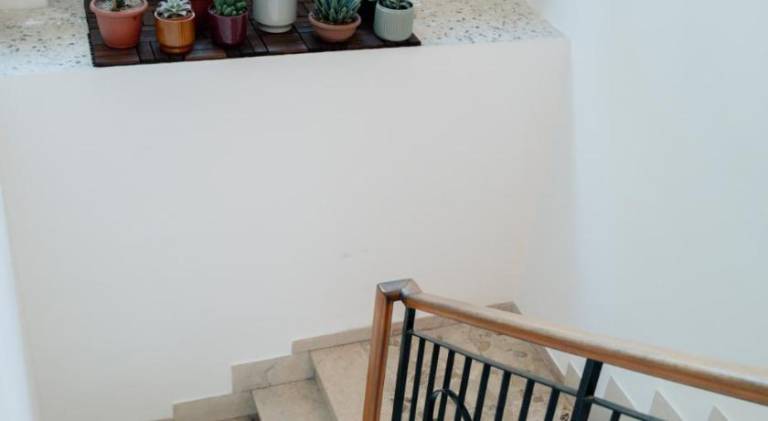 Ample apartment | Pet-friendly — photo 5