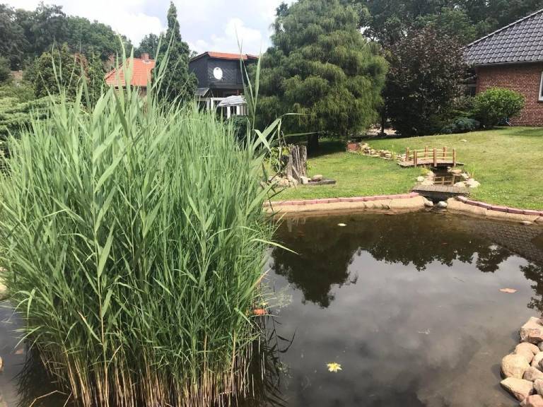 foto20
