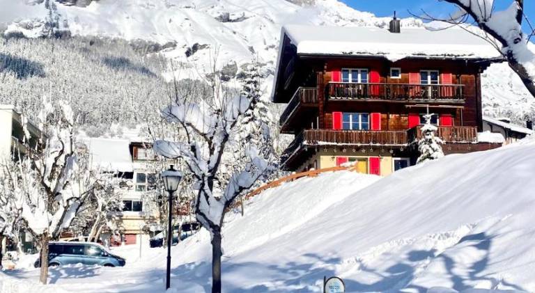 Lovely apartment with yard, terrace & grill | Ski nearby | Perfect for remote work | Dogs allowed in Leukerbad