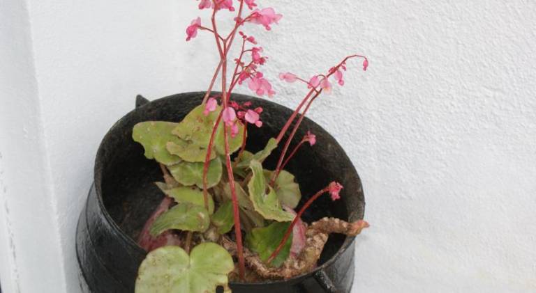 foto19