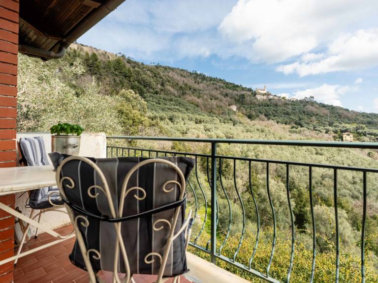House with patio, yard & barbecue | Nature view | Dogs allowed — photo 5