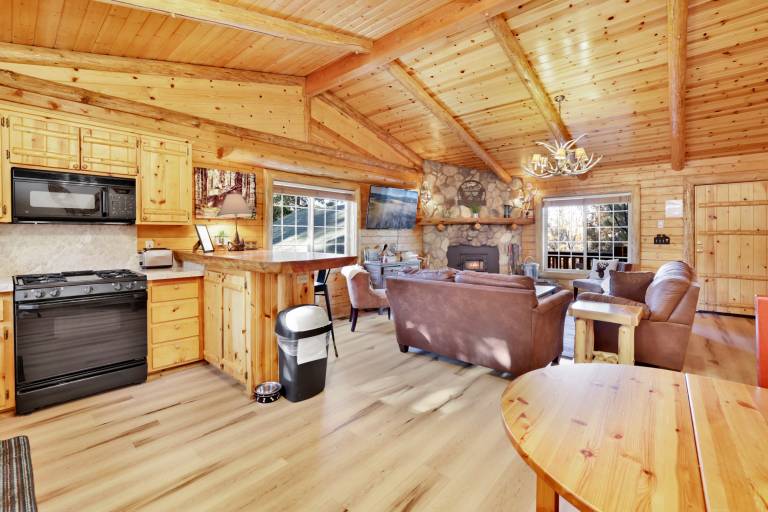 Cabin with patio, barbecue & hot tub | Lake view — photo 5