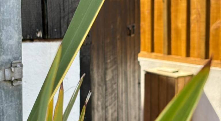 Wonderful apartment | Pets allowed in Arcachon