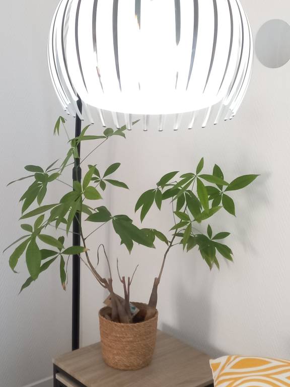 foto13