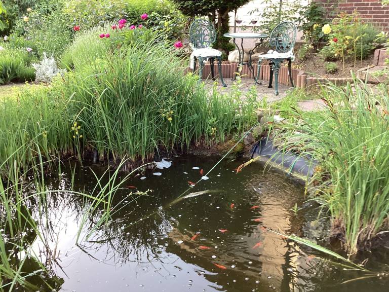 Ferienwohnung Bad Harzburg