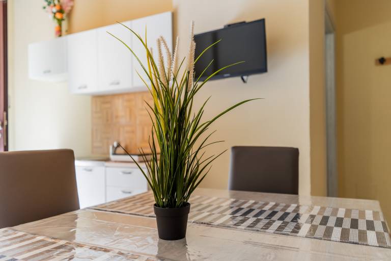 Holiday apartment with fast internet | City view — photo 3