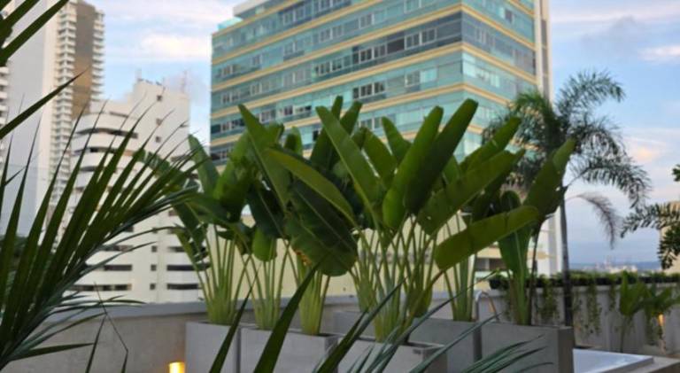 Hotel Rilux Cartagena — photo 4