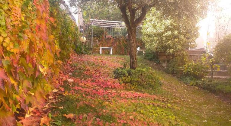 foto11