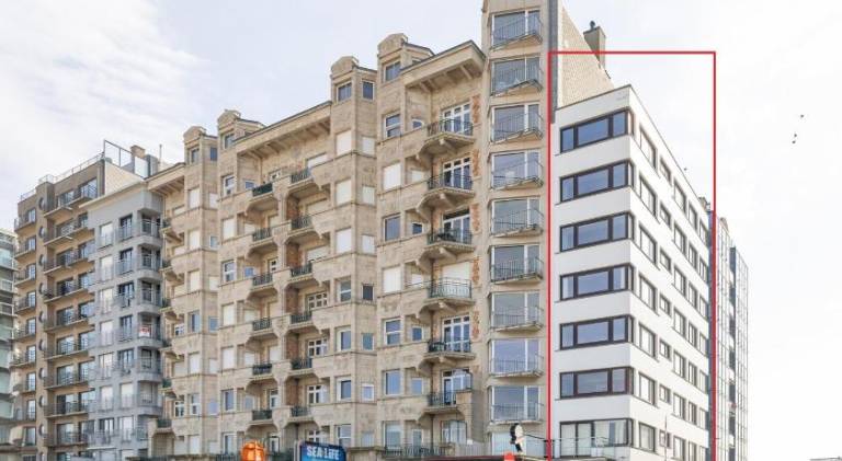 Nice holiday apartment | Beach nearby | Pets allowed in Blankenberge